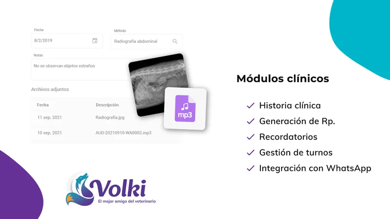 Volki | Gestão veterinária