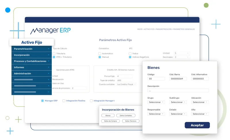 Manager ERP