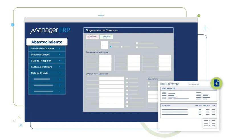 Manager ERP