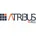 Atribus Redes Sociais