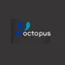 Octopus Consorcios
