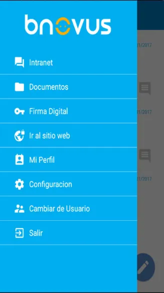 bnovus Evaluación de Rendimiento