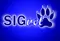 SIGVet Veterinaria