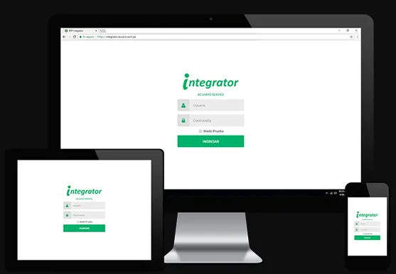 ERP Integrator