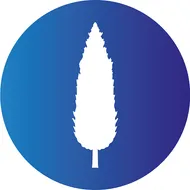 Ciprés Gestión - Sistema De Gestión Comercial Para Pymes logotipo