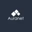 Auranet Construcción