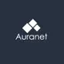 Auranet Construcción