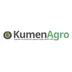 Kumen Gestión DXG