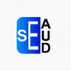 SE Auditing