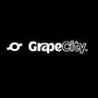 Grapecity Inc Brasil