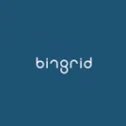bingrid logotipo