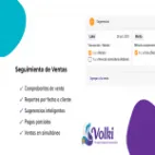 volki logotipo