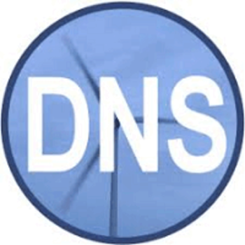 Simple DNS Plus Brasil