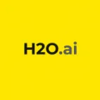 H2O.ai Brasil