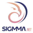 sigmma.net alternativo a SAGTur